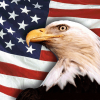 Us flag and eagle
